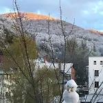 Spatzennest * Bad Harzburg
