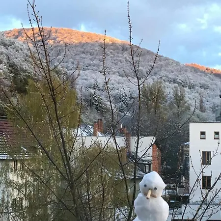 Spatzennest * Bad Harzburg