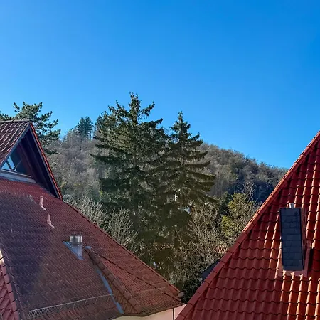 Appartement Casa Kronberg Bad Harzburg